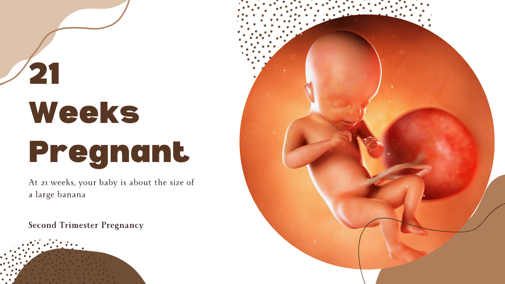 21 weeks pregnant