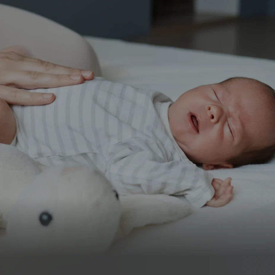 Momcozy ES