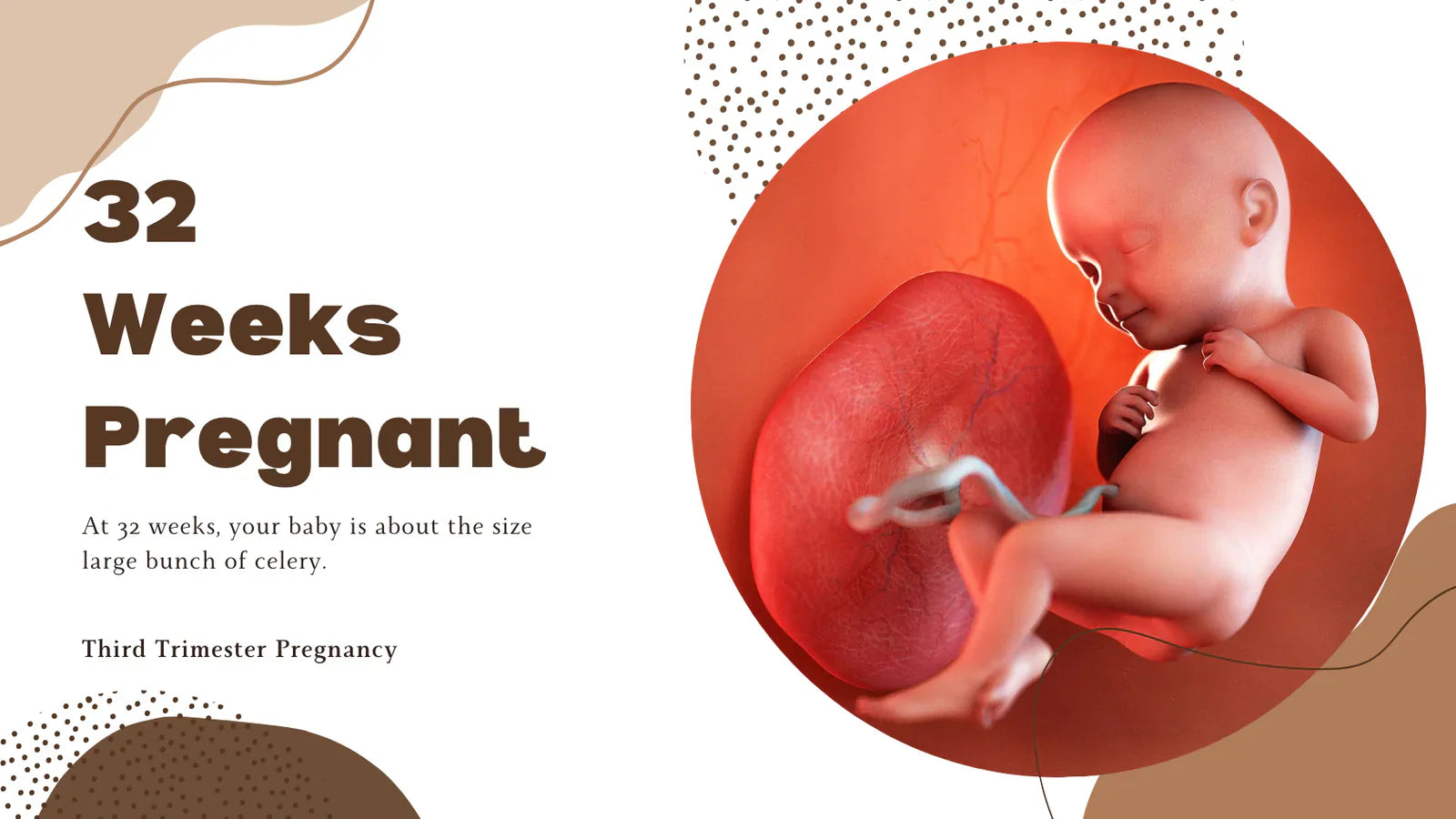 32 Weeks Pregnant