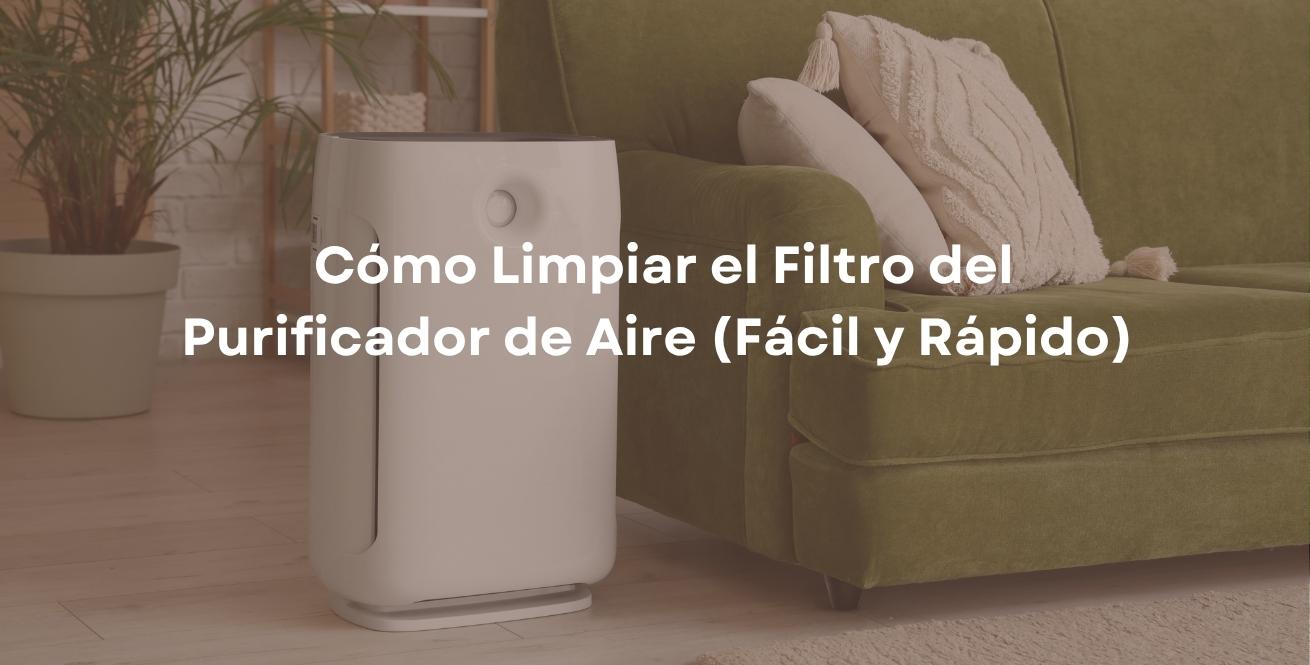 Cómo Limpiar el Filtro del Purificador de Aire (Fácil y Rápido)