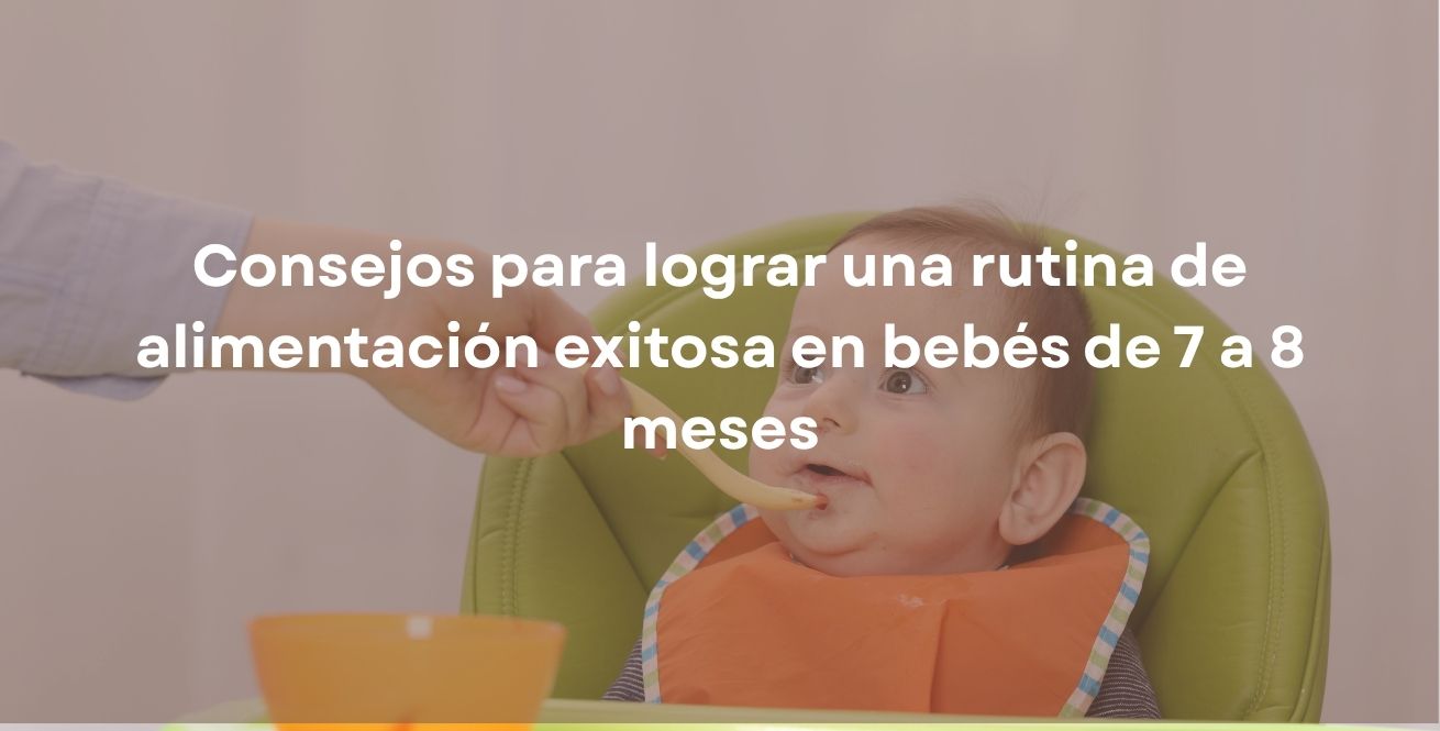 Consejos para lograr una rutina de alimentación exitosa en bebés de 7 a 8 meses