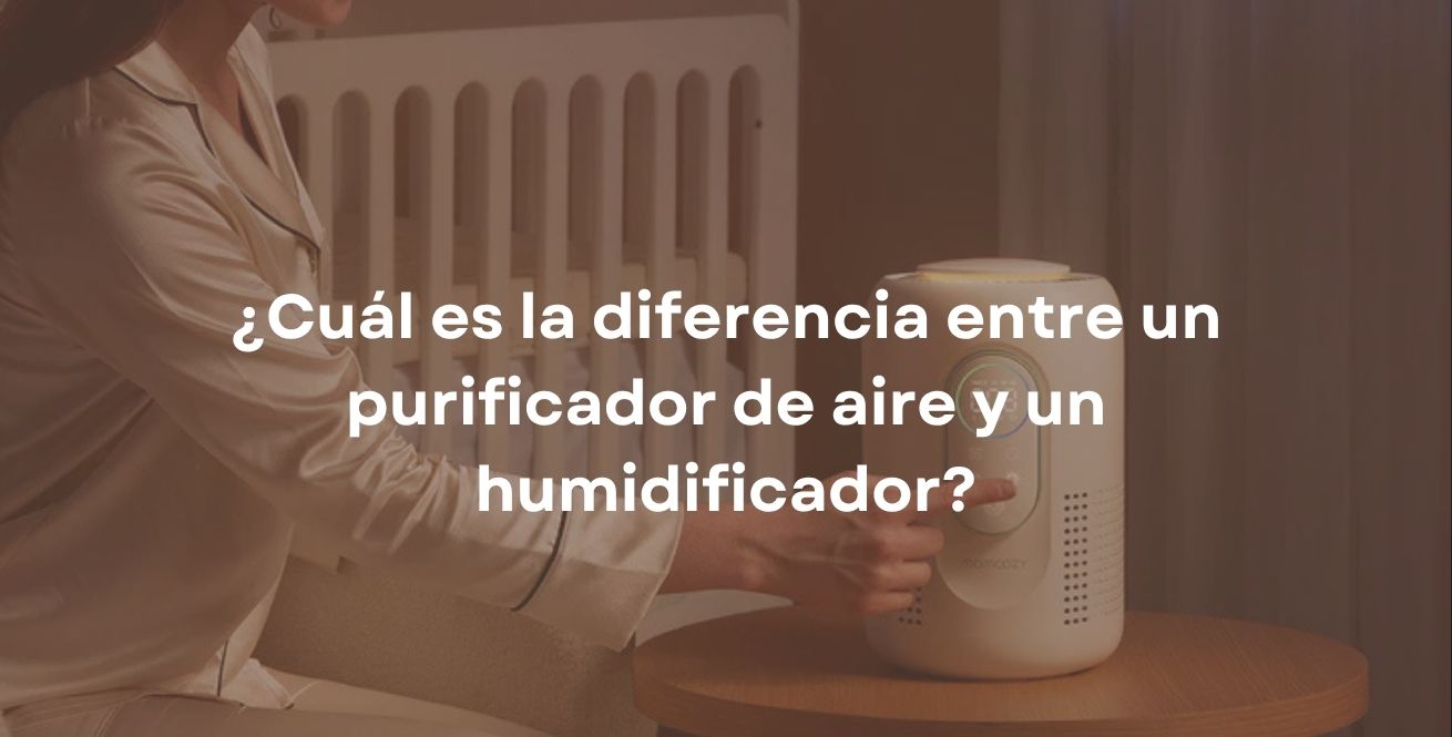 ¿Cuál es la diferencia entre un purificador de aire y un humidificador?