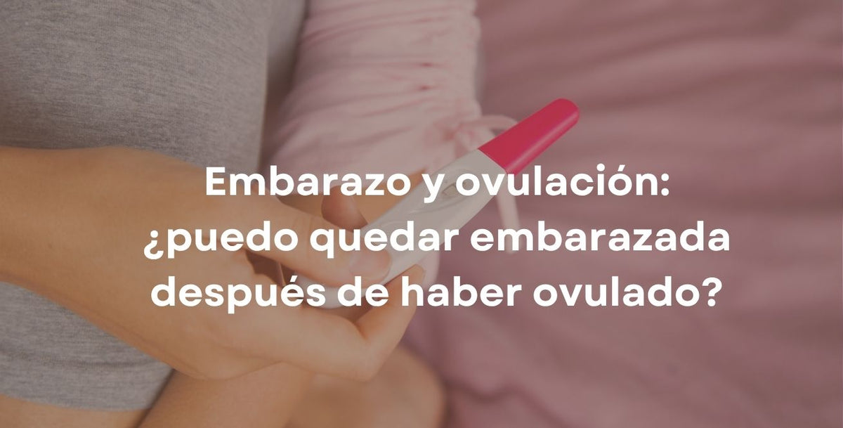 Embarazo y ovulación: ¿puedo quedar embarazada después de haber ovulado?