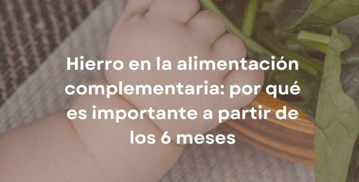 Hierro en la alimentación complementaria: por qué es importante a partir de los 6 meses