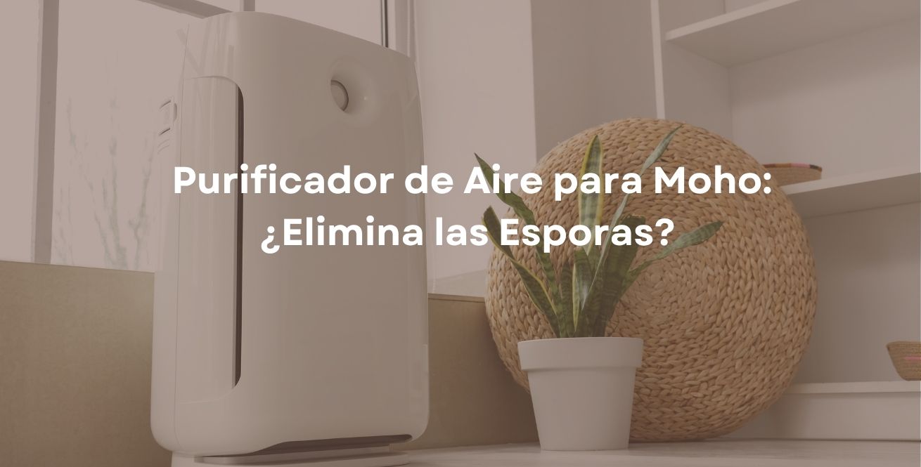 Purificador de Aire para Moho: ¿Elimina las Esporas?