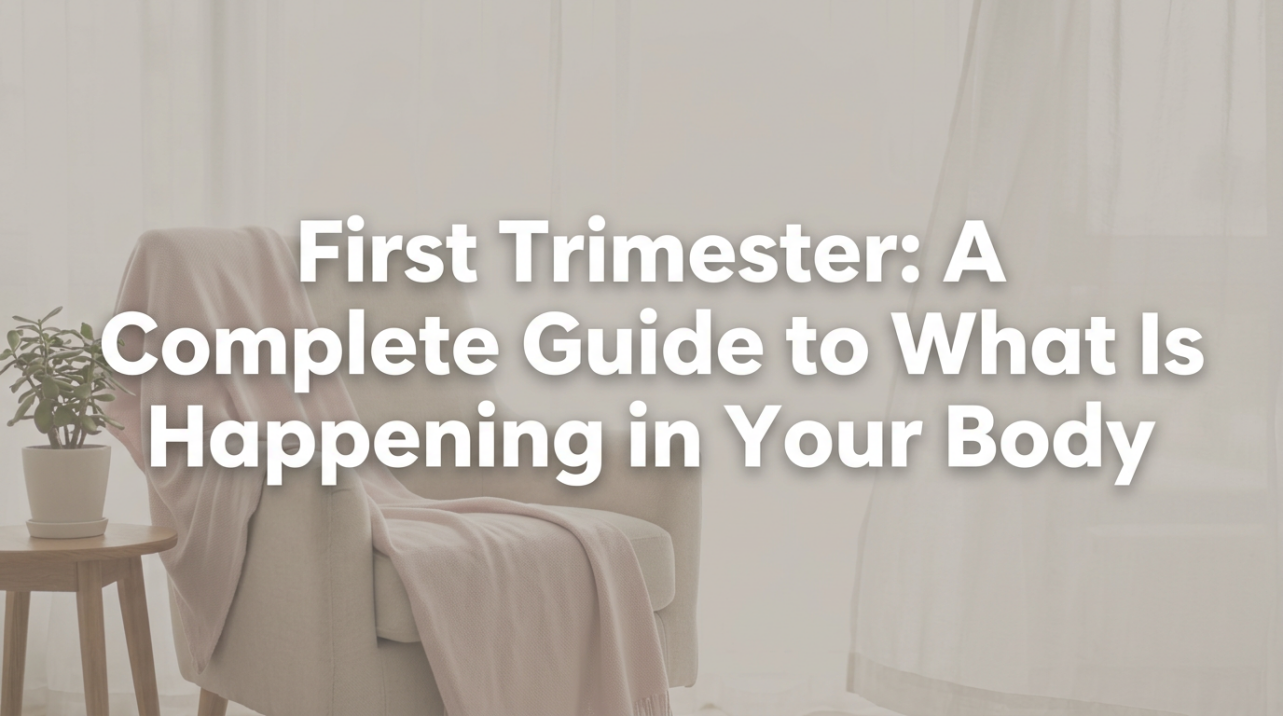 First Trimester: A Complete Guide to What Is Happening in Your Body