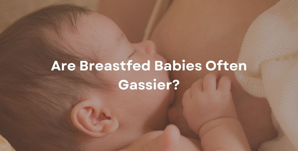 ¿Los bebés amamantados suelen tener gases?