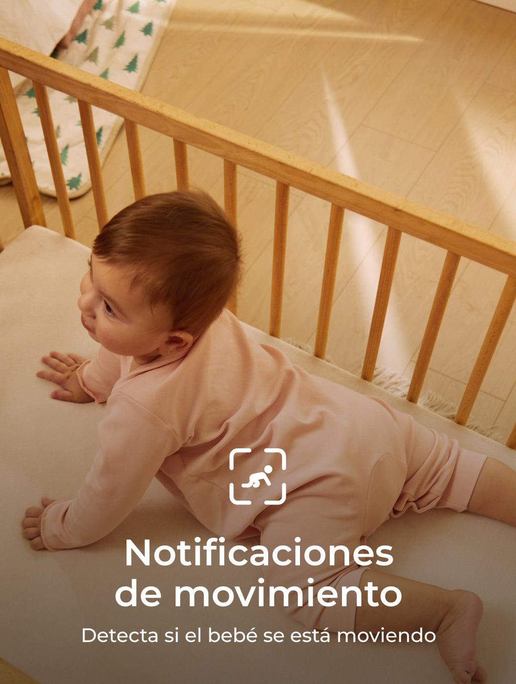 Translation missing: es.Translation missing: es.accessibility.image_fallback