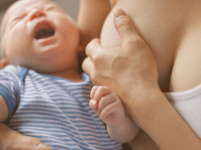 Maternity Pillow WifeItem PC Image