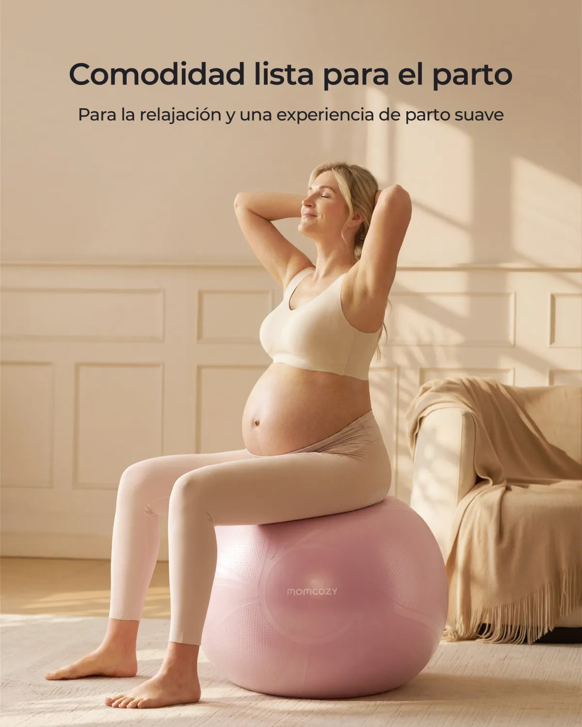 BirthEase Pregnancy Ball  Set— Birthing Ball