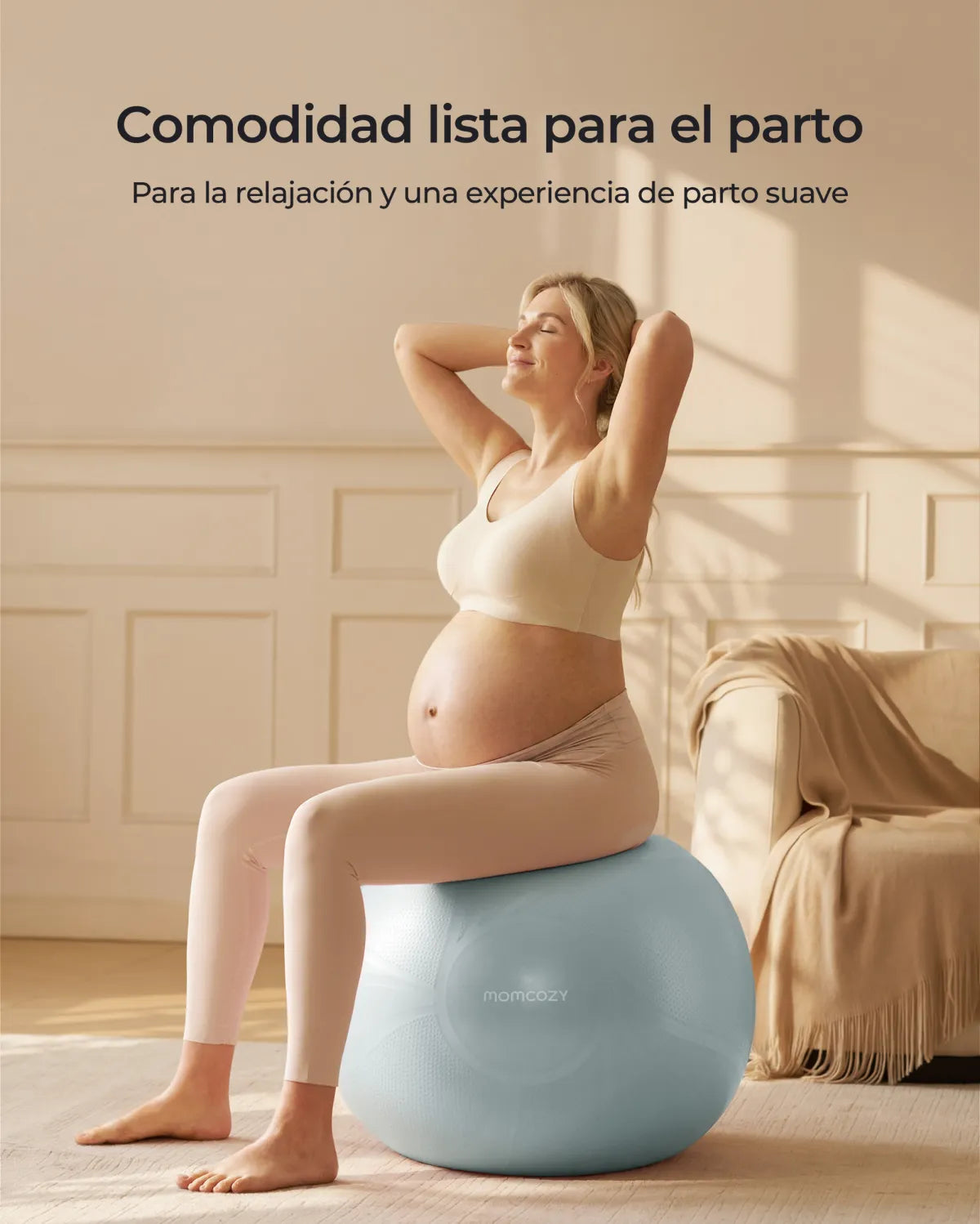 BirthEase Pregnancy Ball  Set— Birthing Ball
