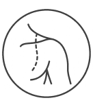 Translation missing: es.accessibility.image_fallback