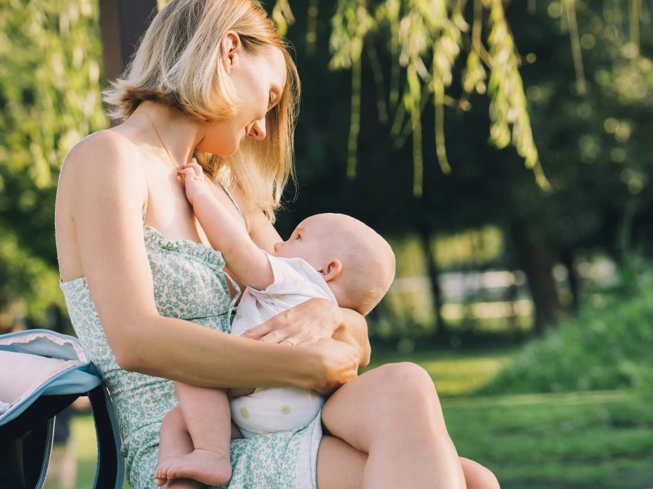 Maternity Pillow WifeItem PC Image