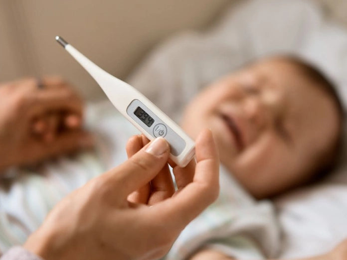 Maternity Pillow WifeItem PC Image