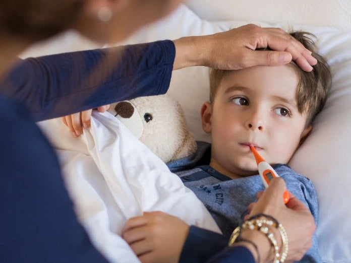 Maternity Pillow WifeItem PC Image